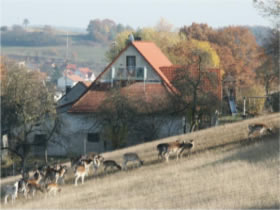 Ferienwohnung mit Balkon