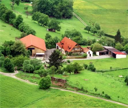 Luftbildaufnahme Damwildhof Jäger Tretzendorf